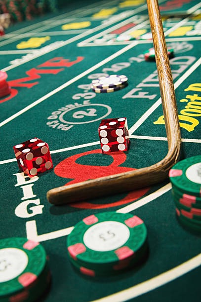 zebra007 Open Live Baccarat With zebra007
